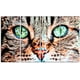 thumbnail image 1 of Arte en lienzo Design Art Inc. Ventanas al alma ojos de gato PT2411-271, 1 of 1