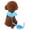 BlueS, variant on UDIYO Cute Angel Wing Adjustable Dog Pet Leash Traction Training Lead and Collars Set