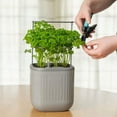 thumbnail image 4 of Vego Garden Mini Planter Box with Trellis Self-Watering Raised Garden Bed for Climbing Vegetables Plants Cage - Fog Gray, 4 of 8