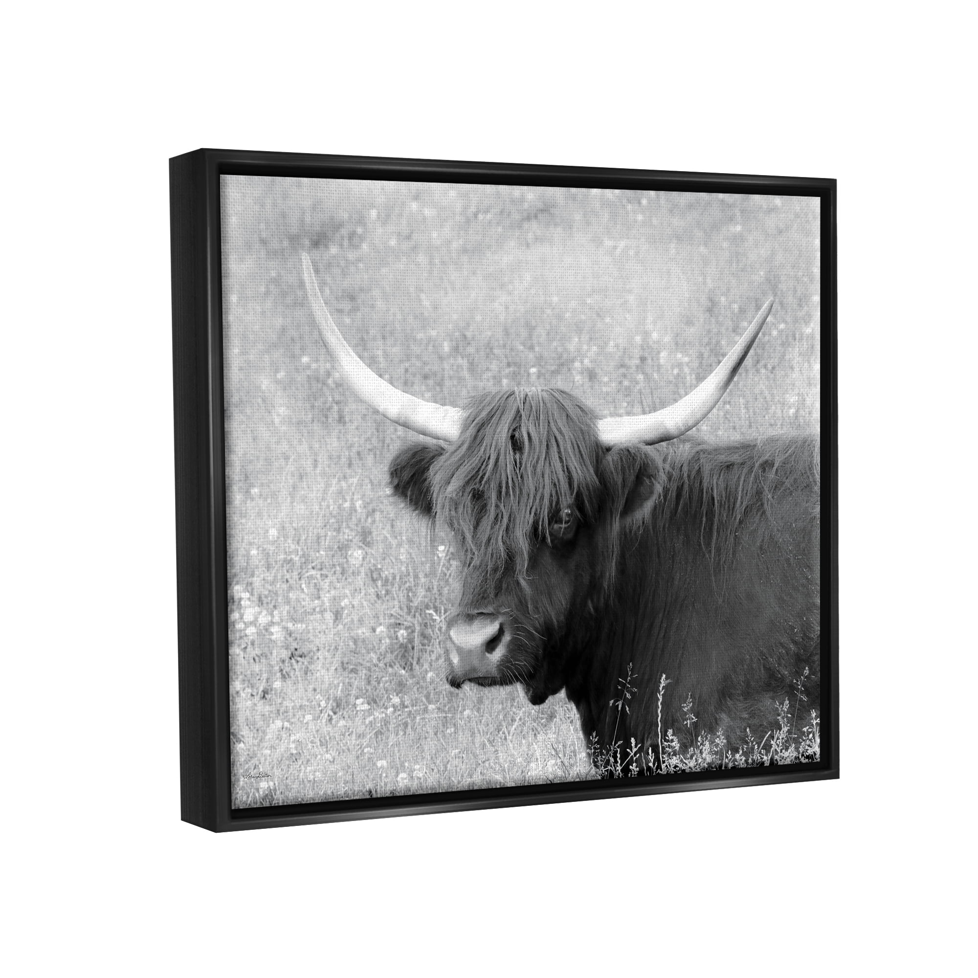 Stupell Farmhouse Cattle Highland Portrait Animals & Insects Photography Black Floater Framed Art Print Wall Art