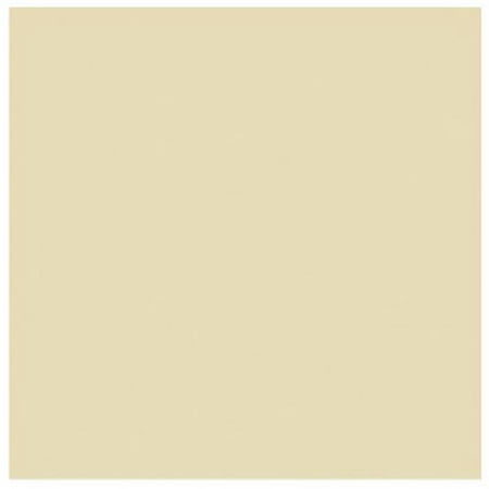 05F-12X329-06 12 in. x 5 ft. Champagne Grip Vinyl Non-Adhesive