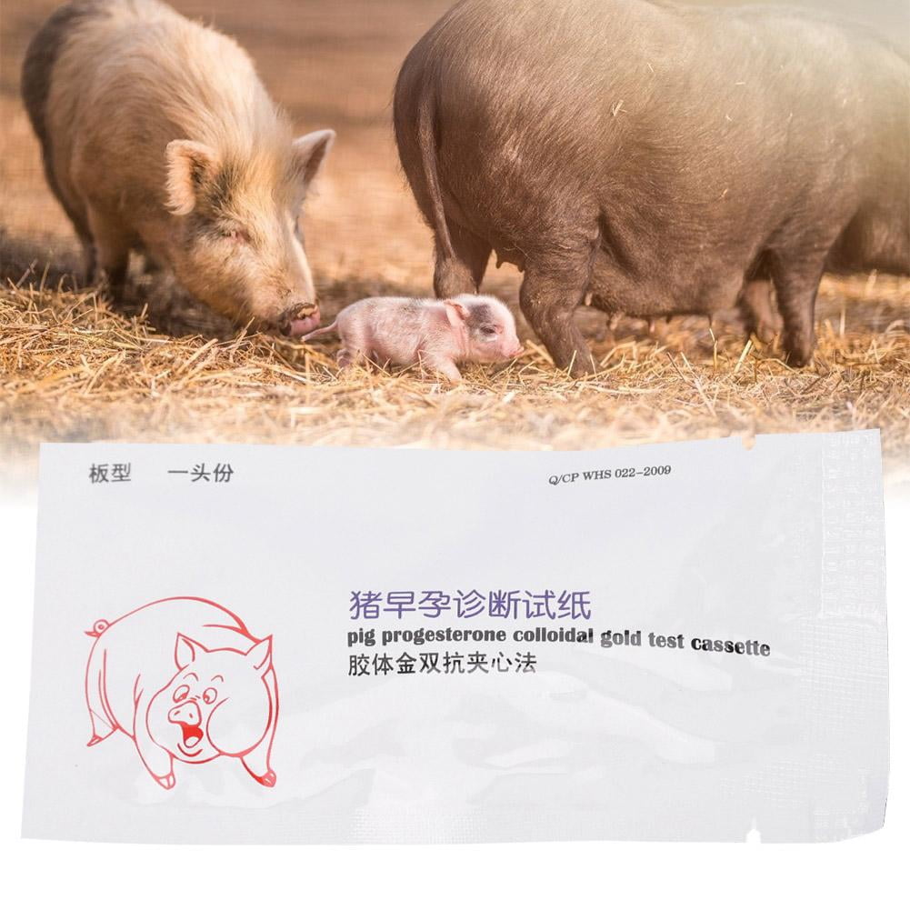 OTVIAP Sow Pregnancy Tester Test Strip Pig Pregnancy Diagnosis Tester Test Strip, Pig Pregnancy Diagnosis,Sow Pregnancy Tester