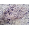 thumbnail image 5 of oneOone Cotton Poplin Violet Fabric Abstract Line Drawing Floral Sewing Craft Projects Fabric Prints By Yard 42 Inch Wide, 5 of 5