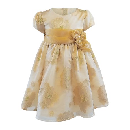 Bonnie Baby Baby Girls Sheer Burnout Party Dress - Baby...