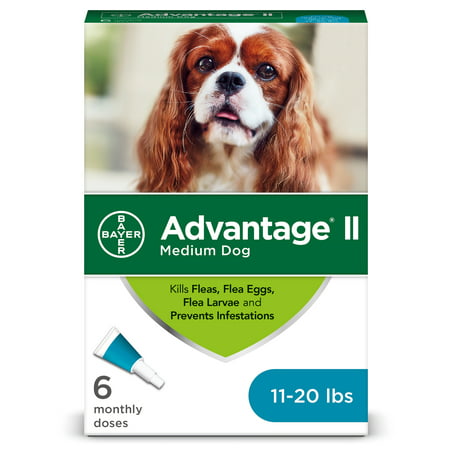 Advantage II Flea Treatment for Medium Dogs, 6 Monthly (Advantage Multi For Dogs Best Price)