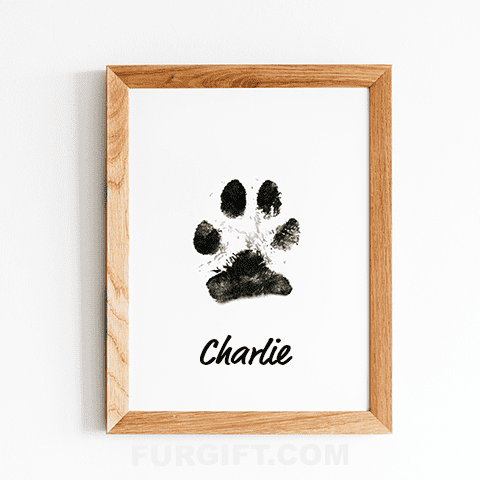 4 Pack of Paw Print Stamp Pads