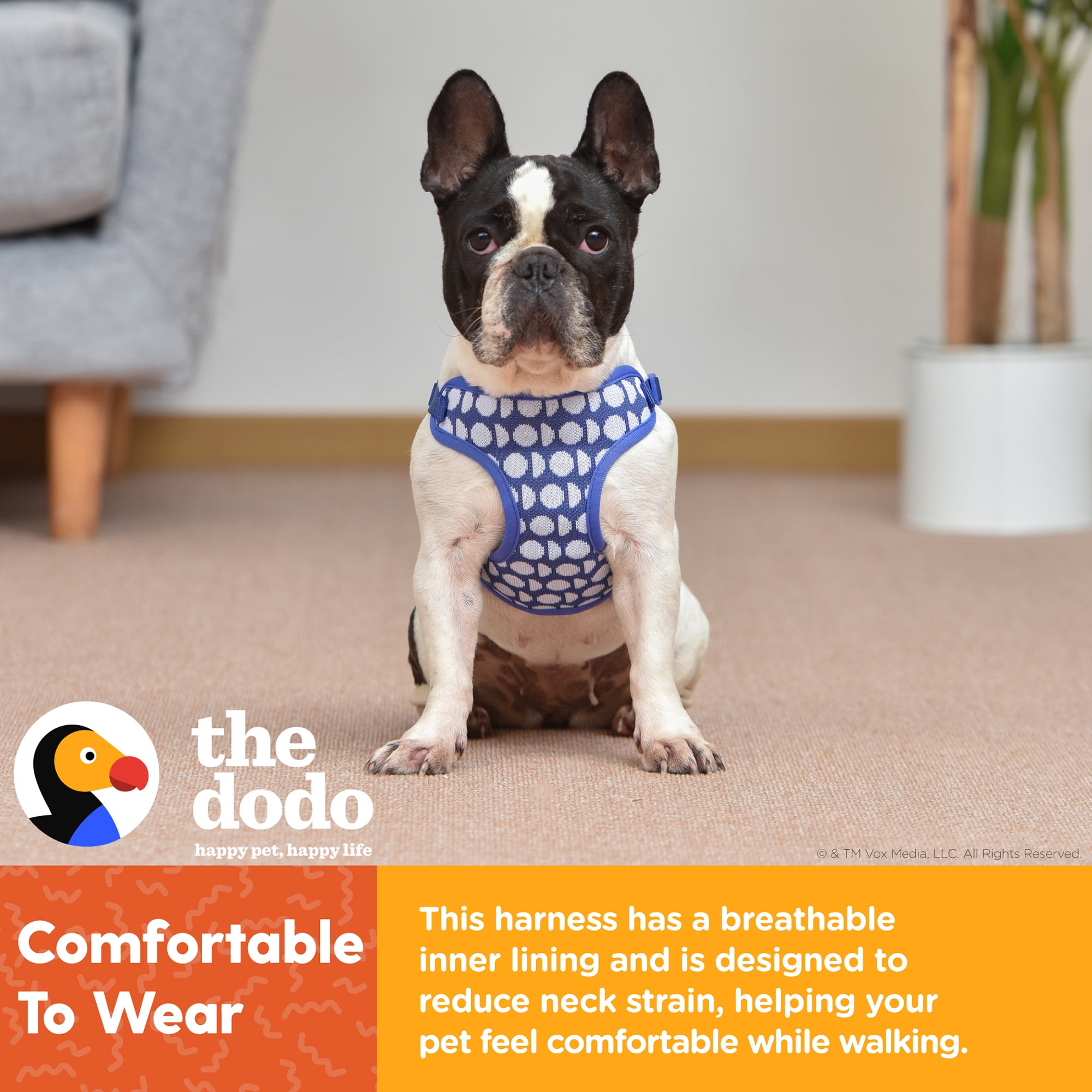 The Dodo Step-in Style Pet Harness, Blue Dodo Print, Small