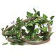 thumbnail image 2 of Rama Trepadora De Reptiles De 3 Vides, Rama Flexible De Reptiles, Para Lagartos Camaleones Ccdes Otros, 2 of 8