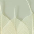 thumbnail image 3 of Interlace by Assaf Frank Layered Leaves Canvas Art, 3 of 4