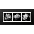 thumbnail image 2 of Mercier, Bruno 14x7 Black Modern Framed Museum Art Print Titled - Illusions printanieres 1, 2 of 5