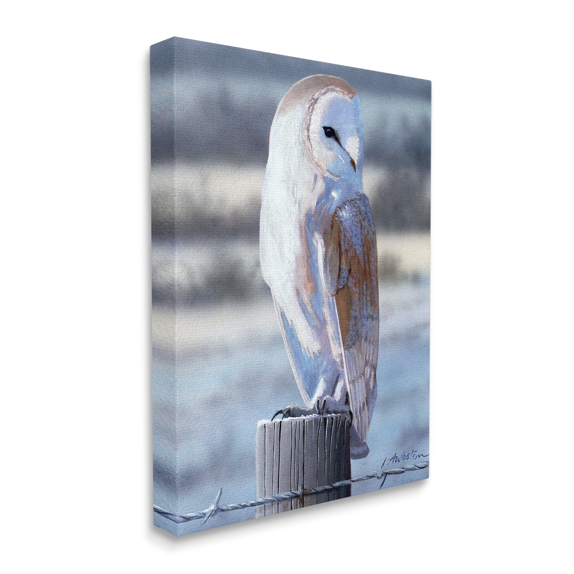 Stupell Industries Serene Barn Owl Perched Snow Dusted Fence Photograph Gallery Wrapped Canvas Print Wall Art, Design by Alan Weston