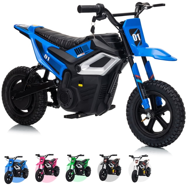 CazToi 24V Kids Dirt Bike 350W Motor 14 MPH 12 Mile Range Rear Suspension