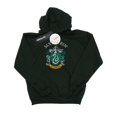 thumbnail image 1 of Harry Potter Sweat à Capuche Homme Serpentard, 1 of 3