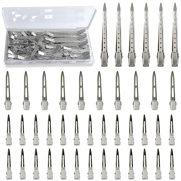 Unique Ensemble de 42 Pinces à Cheveux Stylées : Pinces en Métal Argenté pour Coiffure Féminine, Longues Épingles à Bec, Rouleaux d'Alligator avec Étui Argenté pour great value. Obtenez le Vôtre Aujourd'hui!