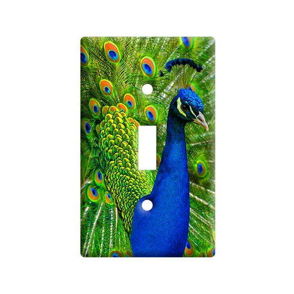 Peacock with Tail Feather Display Light Switch Plate Cover