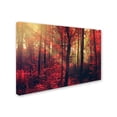 thumbnail image 2 of Trademark Fine Art "Fire Dance" Canvas Art by Philippe Sainte-Laudy, 2 of 3
