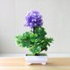 thumbnail image 5 of Gwong Decoración hogareña 1 unid jardín decoración artificial bonsái planta árbol flor adorno decoración del hogar Gwong 21007038, 5 of 6