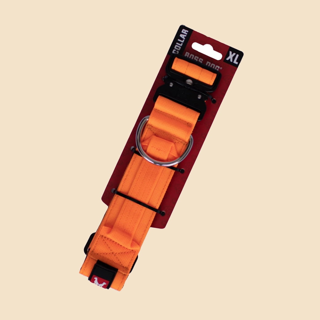 Boss Dog Tactical Collar, Hunter Orange, X-Large