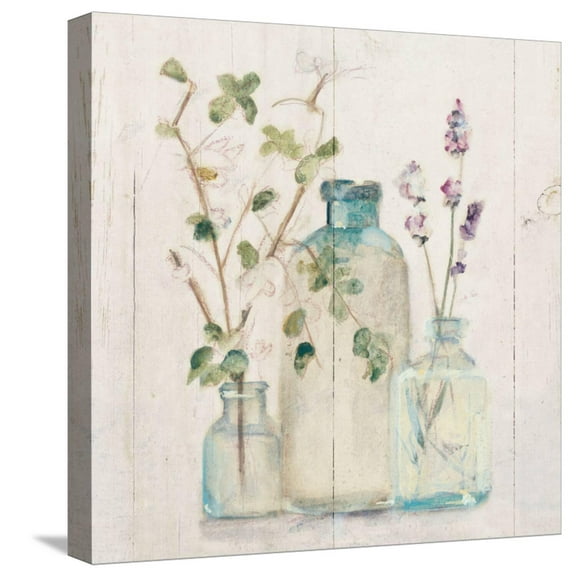Art.com Blossoms on Birch V Stretched Canvas Print Wall Art by Cheri Blum, 16" x 16"