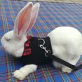 thumbnail image 3 of Flmtop Small Animal Rabbits Hamster Vest Harness Walking Soft Bowknot Mesh Chest Strap Pink, 3 of 9