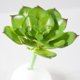thumbnail image 1 of unbranded Planta Falsa Verde De PVC Para De Escritorio Estantería O, 1 of 7
