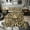 Green Brown 03, variant on Feelyou Camo Baseball Twin Comforter Sets for Boys, Ice Cream Drip Bat Bedding Set, Green Brown, Black Reversible, 2-Piece, 1 Comforter and 1 Pillowcase