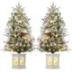 thumbnail image 1 of 2-pack 3 ft pre-lit mini artificial christmas tree con 78 leds y elk base, 1 of 7