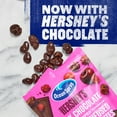 Ocean Spray® HERSHEY'S Dark Chocolate Dipped Cherry Infused Cranberry Bites 5 oz. Bag