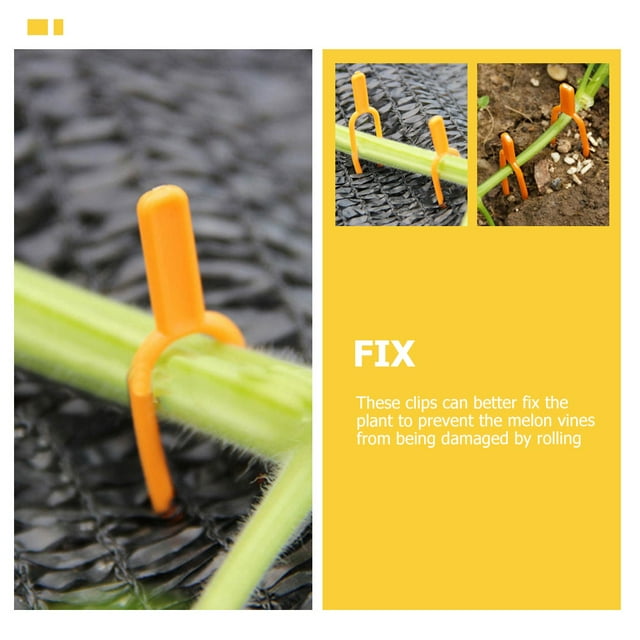 PTOOTP 200 Pcs Fourchettes en Plastique pour Vigne de Jardinage pour une Distribution Uniforme