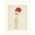 thumbnail image 2 of Amy Melious 35x44 Gallery Wrapped Canvas Wall Art Titled - Red Anemones I, 2 of 4