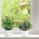 thumbnail image 3 of 3 Pack Fake Plants in Pots Artificial Eucalyptus Plant Mini Potted Faux Plants Indoor Small Plastic, 3 of 5