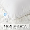 thumbnail image 3 of Goose Down Pillow Queen Size Set of 1 Pack,900+ Fill Power Luxury Hotel Quality Bed Feather Pillow for Side Back Stomach Sleepers, Soft  Cotton Shell（White,20" x 30"）, 3 of 7