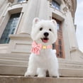 thumbnail image 6 of HQREA Adjustable Girl Dog Collars with Bowtie, Cute Pet Collar for Wedding, 6 of 6