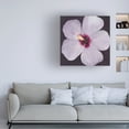 thumbnail image 3 of Tim O'Toole 'Hibiscus Portrait I' Canvas Art, 3 of 3