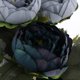 thumbnail image 2 of Ramo de Peonía Artificial para Boda, , Hogar, Jardín Interior, Arreglos Florales Y Decoración para hogar Gris Colco Inicio Boda Decoraciones florales, 2 of 4