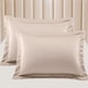 thumbnail image 1 of Juego de fundas de almohada de satén PiccoCasa, 2 fundas de almohada de satén sedoso, tamaño Queen, color marrón claro, 1 of 7