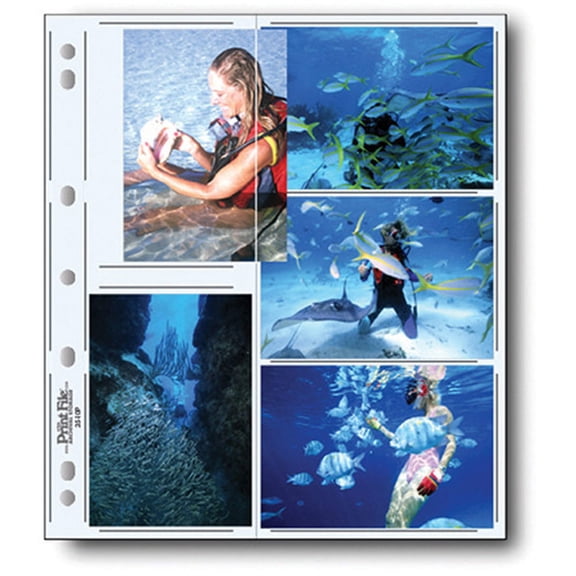 Print File Archival Photo Pages Holds Ten 3 1/2x5" Prints, Pack of 100