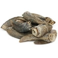thumbnail image 7 of Icelandic+ Lamb Horn With Marrow - Small - 4-5.5" Dog Chew, Long-Lasting Treat, Puppy-Small Dogs, Keratin, All-Natural, Pet Snack, Edible & Digestible, 7 of 7