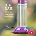 thumbnail image 2 of Perky-Pet Our Best Royal Berry Hummingbird Feeder - 30 oz Capacity, 2 of 14