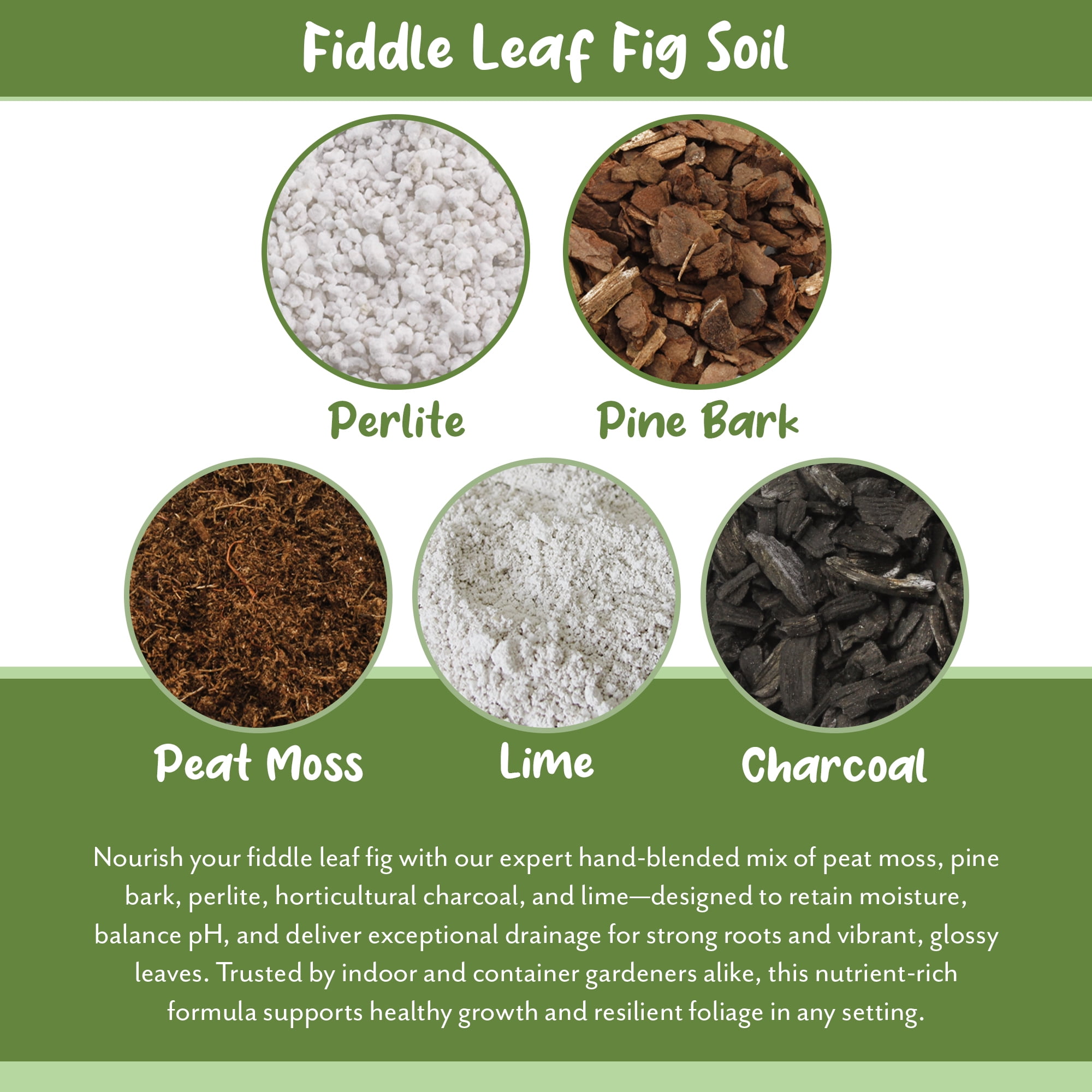 Premium Fiddle Leaf Fig Tree Soil (12 Quarts) - Expert Formula for Vibrant Growth - Nutrient-Rich Potting Mix, Specifically Designed for Healthy Indoor, Outdoor, and Potted Fiddle Fig Plants