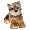 thumbnail image 1 of Yettie Yorkie, 1 of 10