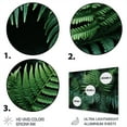 thumbnail image 3 of Designart "A Close Up Photo of Ferns VI" Floral Metal Art Living Room, 3 of 5