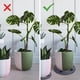 thumbnail image 5 of Soporte para plantas, elevador de macetas de 30 cm de 6 piezas, soporte para macetas grandes, soporte para macetas redondas, elevador de macetas a nivel para interior y exterior, jardín (30), 5 of 9