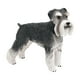 thumbnail image 2 of Figura de perro realista en miniatura, Schnauzer estándar, manualidades de imaginación, juguete realista de PVC, estatua de perro Animal coleccionable, 2 of 10