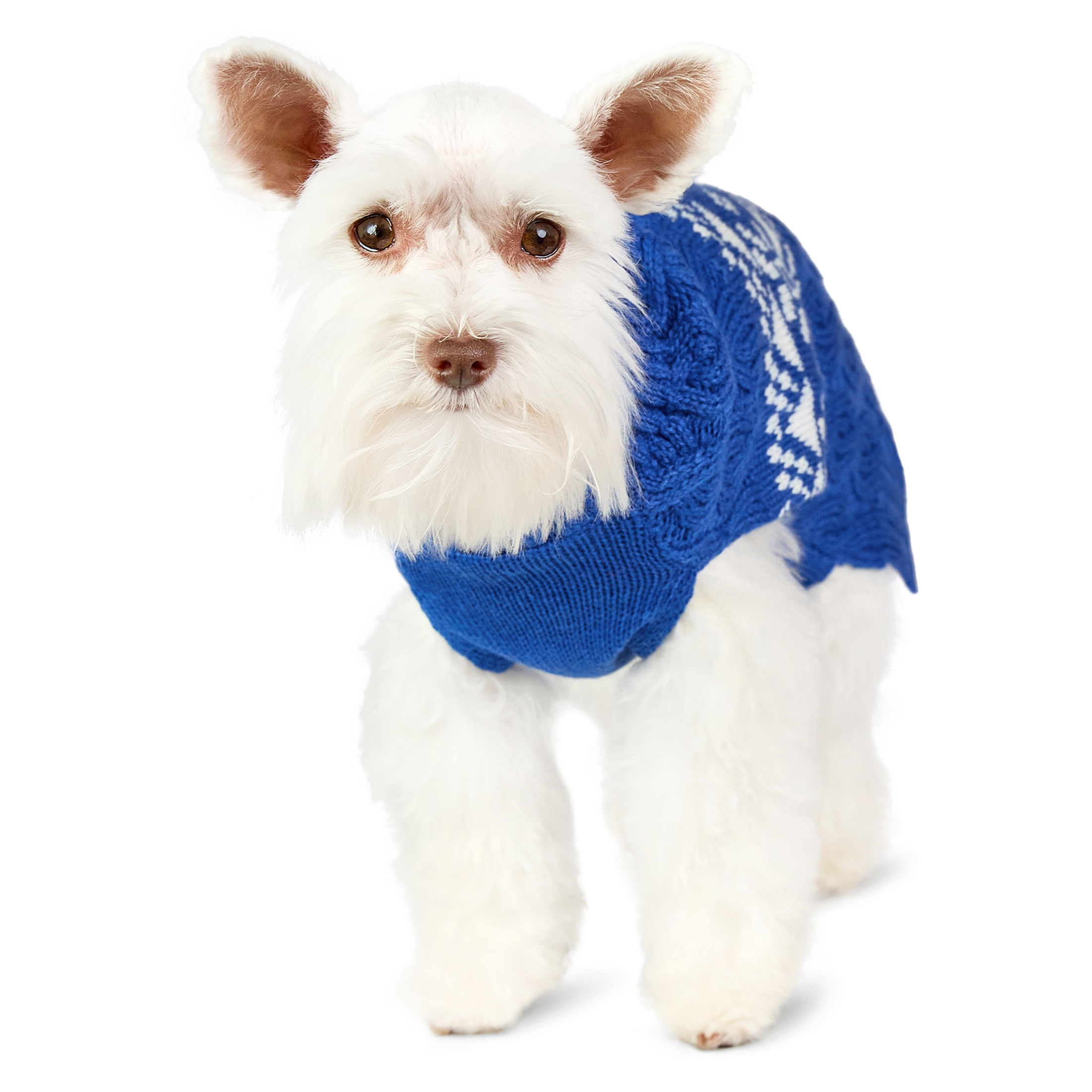 Vibrant Life Holiday Pet Sweater for Cats & Dogs, Snowflakes, Blue, Extra Small