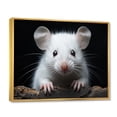 thumbnail image 2 of Designart "Rodent Wonders White Small wall art" Animals Floater Framed Canvas Wall Art, 2 of 7