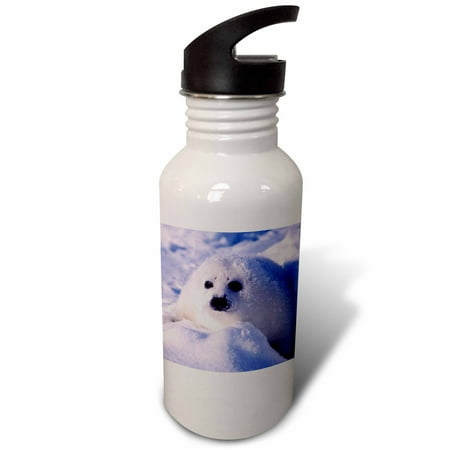 

Gulf of St. Lawrence Harp Seal pup-CN14 GJE0025 - Gavriel Jecan 21 oz Sports Water Bottle wb-74860-1