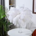 thumbnail image 3 of Plumas de Avestruz Berlune 150 Piezas 30-35 cm Blanco, 3 of 6