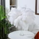 thumbnail image 3 of Plumas de Avestruz Berlune 150 Piezas 30-35 cm Blanco, 3 of 6
