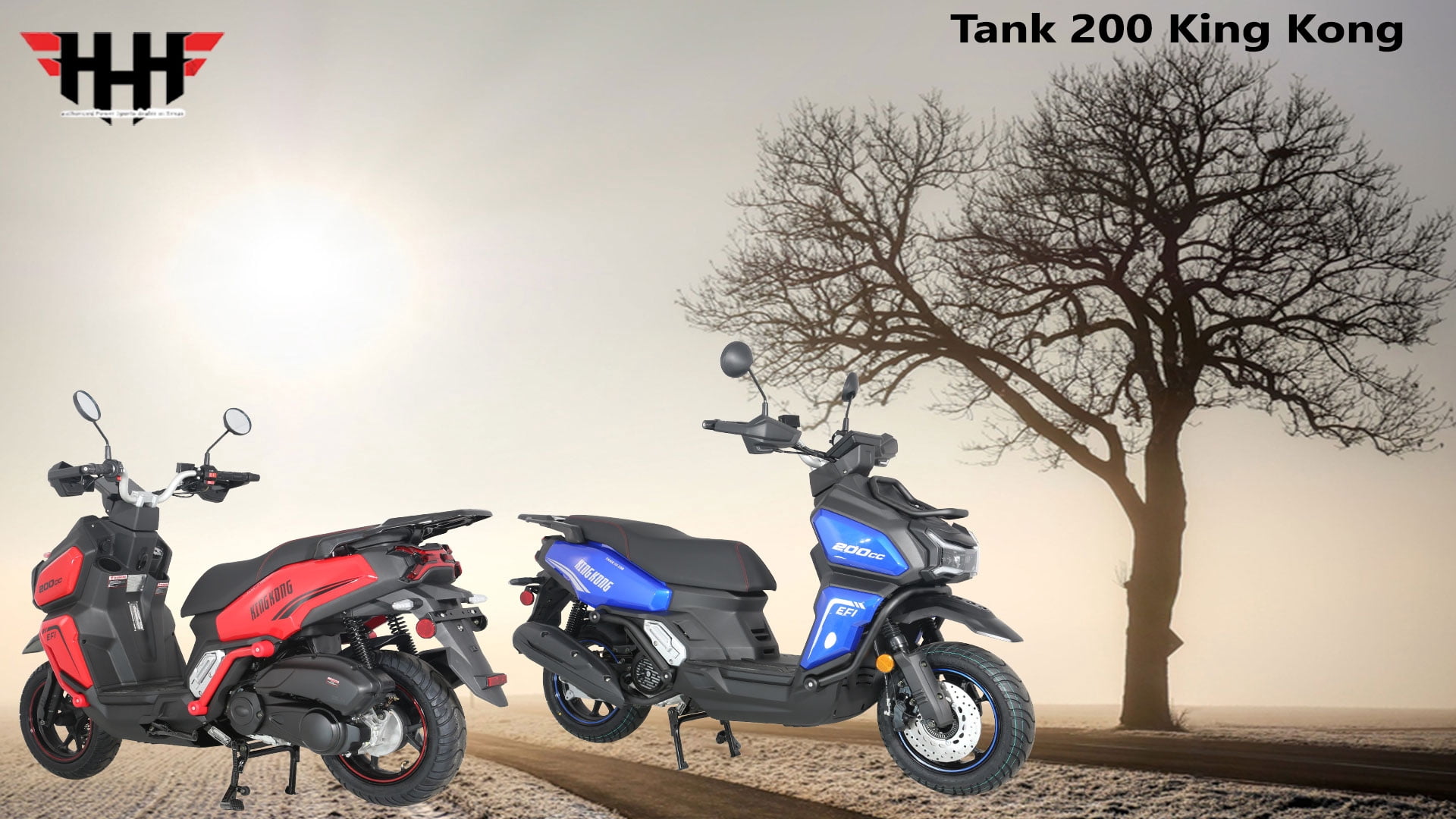 HHH Tank 200 King Kong Scooter New Limited Edition–EFI Fuel Injected with Digital LCD Speedometer Street Moped California Approved-Black